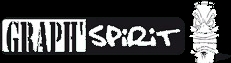 logo Graph Spirit